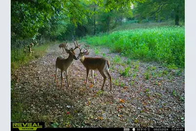 5230 Null Road, Coolville, OH 45723 - Photo 46