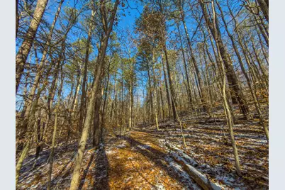 5230 Null Road, Coolville, OH 45723 - Photo 14