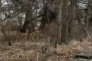 836 & 842 N Main St, Urbana, OH 43078 - Photo 22