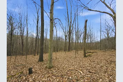 0 E Side Geer Mill Road, Vinton, OH 45686 - Photo 18