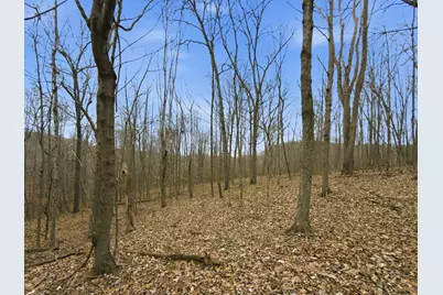 0 E Side Geer Mill Road, Vinton, OH 45686 - Photo 20