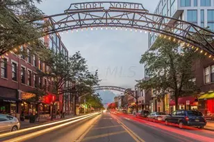 1020 Lusso Ave, Columbus, OH 43201 - Photo 32