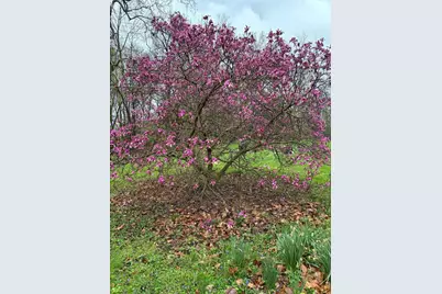 13750 County Road 227, Kenton, OH 43326 - Photo 20