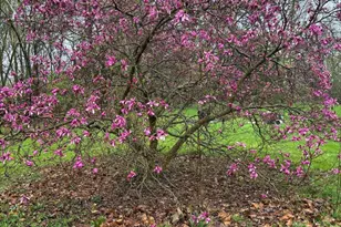 13750 Co Rd 227, Kenton, OH 43326 - Photo 20