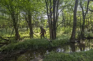 7625 Harriott Rd, Plain City, OH 43064 - Photo 66