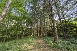 7625 Harriott Rd, Plain City, OH 43064 - Photo 64