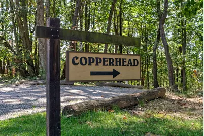 12089 Cantwell Cliffs Road, Rockbridge, OH 43149 - Photo 96