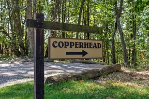 12089 Cantwell Cliffs Rd, Rockbridge, OH 43149 - Photo 96