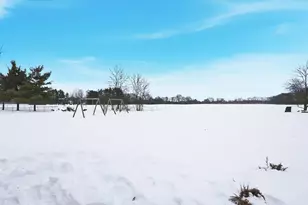 728 Murnan Rd, Galloway, OH 43119 - Photo 64