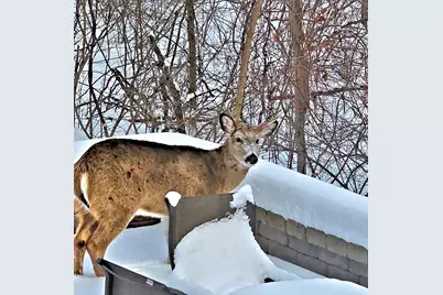 2569 Open Bay Court, Galena, OH 43021 - Photo 74