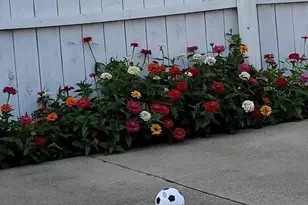 210 S 4th St, Byesville, OH 43723 - Photo 10