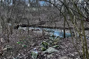 2975 Crocker Run Rd, Grove City, OH 43123 - Photo 52