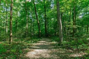 5600 Blendon View Ct, Columbus, OH 43230 - Photo 44