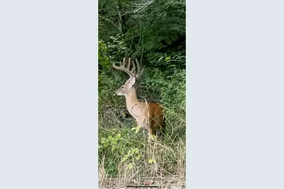 603 Fairgreens Road, Jackson, OH 45640 - Photo 28