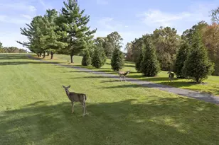 1633 Cardinal Hill Ln, Sugar Grove, OH 43155 - Photo 52