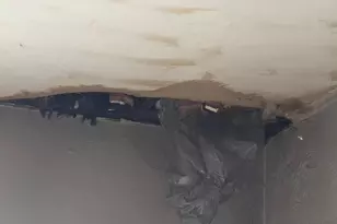 1161 Spring Ave NE, Canton, OH 44704 - Photo 6