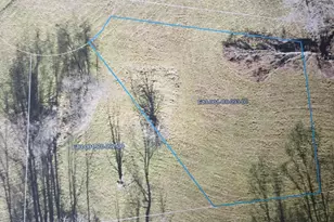 7326 Ohio 19, Mount Gilead, OH 43338 - Photo 2