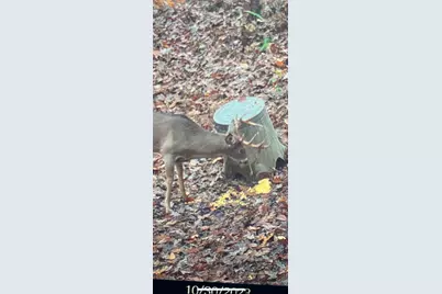 66376 Old Shurtz Road, New Plymouth, OH 45654 - Photo 40