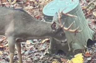 66376 Old Shurtz Rd, New Plymouth, OH 45654 - Photo 40