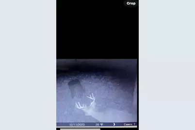 66376 Old Shurtz Road, New Plymouth, OH 45654 - Photo 36