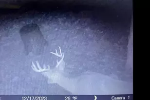 66372 Old Shurtz Rd, New Plymouth, OH 45654 - Photo 36