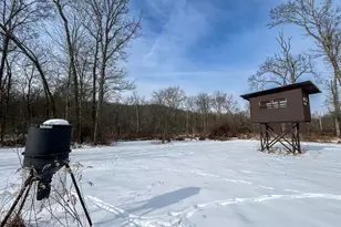 18408 Brushy Fork Rd SE, Heath, OH 43056 - Photo 10