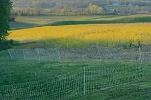 1725 W Point Rd SE, Lancaster, OH 43130 - Photo 68