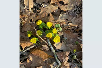 4449 Larue Prospect Road S, Prospect, OH 43342 - Photo 50