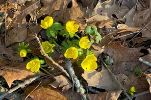 4449 Larue-Prospect Rd S, Prospect, OH 43342 - Photo 50