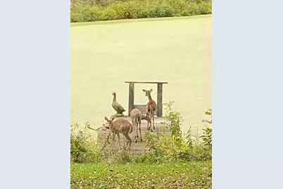 4449 Larue Prospect Road S, Prospect, OH 43342 - Photo 10