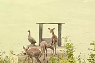 4449 Larue-Prospect Rd S, Prospect, OH 43342 - Photo 10