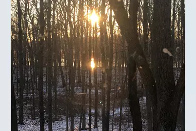 4449 Larue Prospect Road S, Prospect, OH 43342 - Photo 34