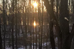 4449 Larue-Prospect Rd S, Prospect, OH 43342 - Photo 34