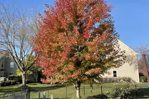 4977 Britton Farms Ct, Hilliard, OH 43026 - Photo 106