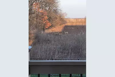 830 Lorenzo Court, Marysville, OH 43040 - Photo 76