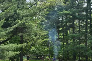 263 International Dr, Pataskala, OH 43062 - Photo 40