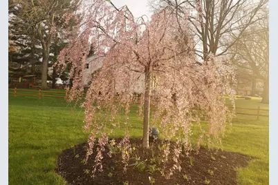 263 International Drive, Pataskala, OH 43062 - Photo 42