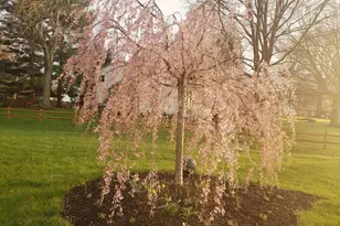 263 International Dr, Pataskala, OH 43062 - Photo 42