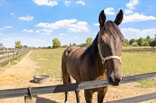 7233 National Rd SE, Thornville, OH 43076 - Photo 6