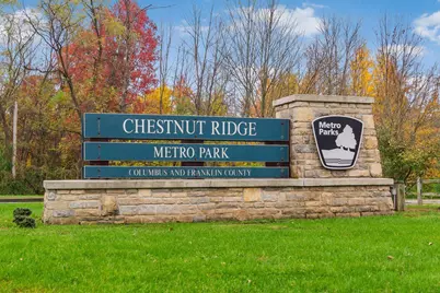 290 Jonathan Trail, Canal Winchester, OH 43110 - Photo 22