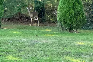 12580 W Bank Dr NE, Millersport, OH 43046 - Photo 20