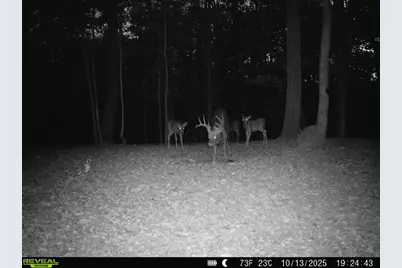1256 Prussia Road, Waverly, OH 45690 - Photo 92