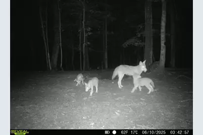 1256 Prussia Road, Waverly, OH 45690 - Photo 96