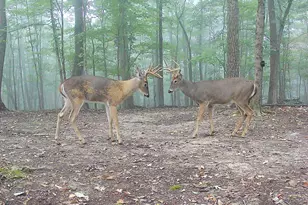 1256 Prussia Rd, Waverly, OH 45690 - Photo 90