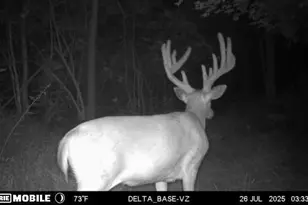 9268 State Rte 41, Aberdeen, OH 45101 - Photo 68