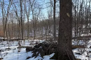 9268 State Rte 41, Aberdeen, OH 45101 - Photo 56