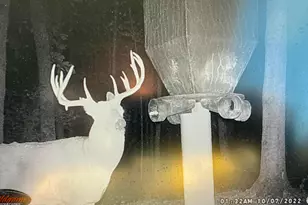 9268 State Rte 41, Aberdeen, OH 45101 - Photo 70