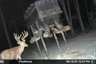 9268 State Rte 41, Aberdeen, OH 45101 - Photo 74