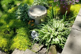 333 Madison St, Groveport, OH 43125 - Photo 80