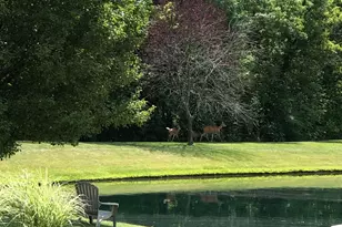 12819 Sugar Mill Ln, Plain City, OH 43064 - Photo 46